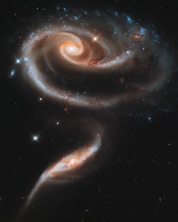 A "Rose" Made of Galaxies: Arp 273